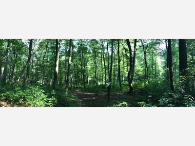 Your Weekly Update: A Week in Review, by Supriya Mamidi