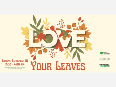 Introducing Love Your Leaves