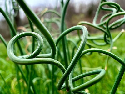 Perspectives on Preservation